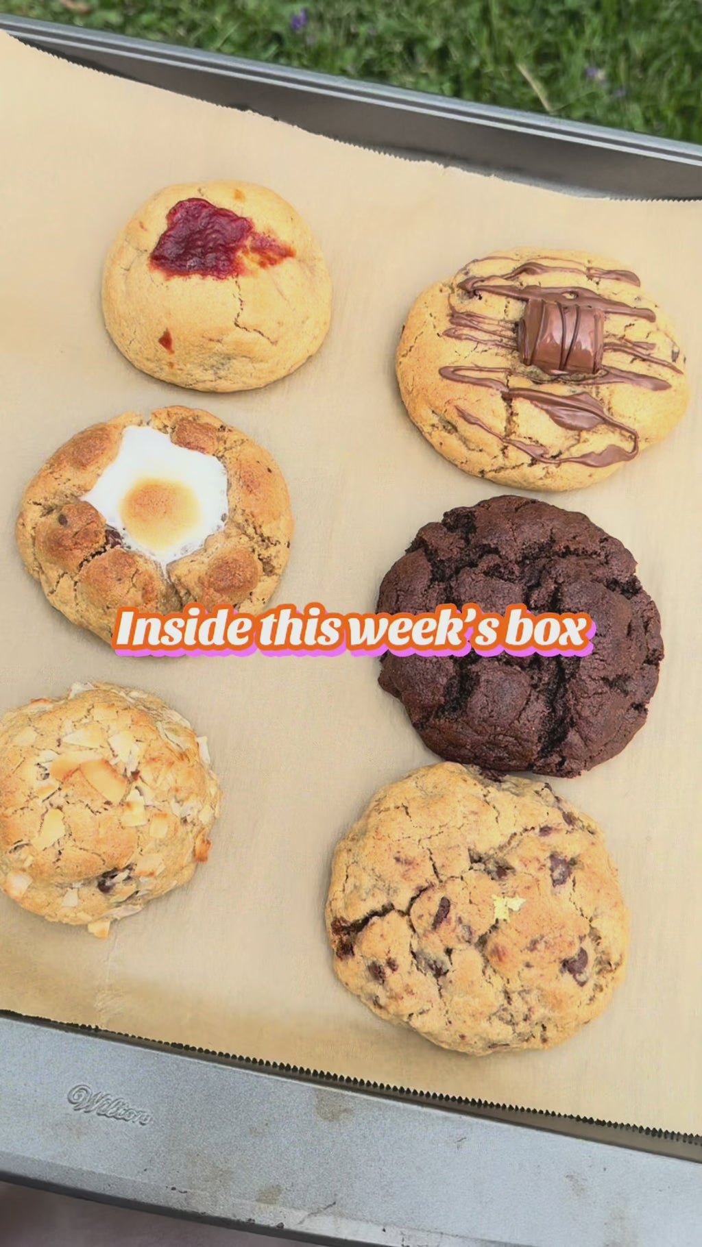 The Weekly Drop Box!