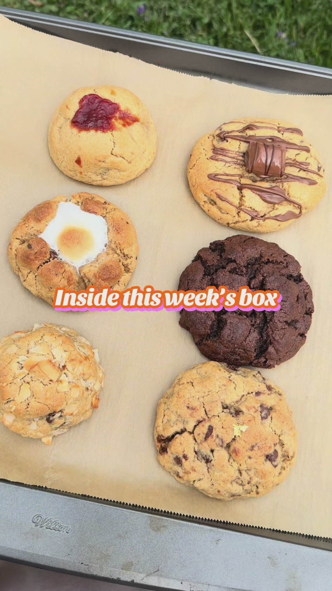 The Weekly Drop Box!