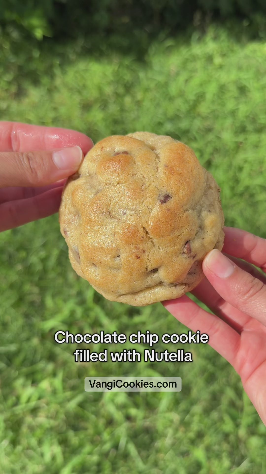 Chocolate chip with Nutella filling